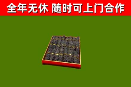 博山区回收海参